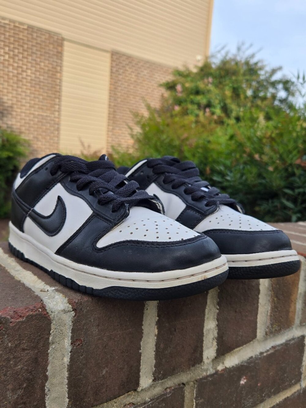 NIKE DUNK LOW RETRO "PANDA"